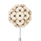 Brego Lapel Pin